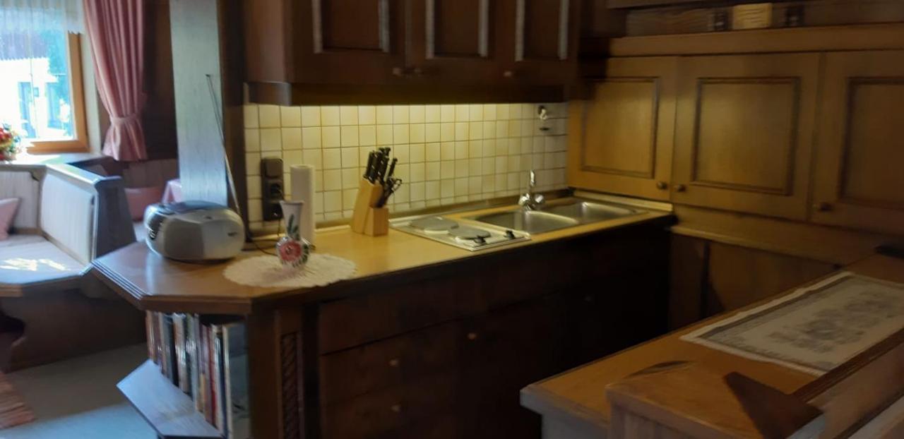 Fewo Reinhard Apartman Faistenau Kültér fotó